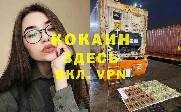 индика Алексин