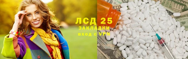 индика Алексин