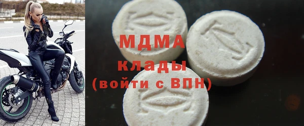 индика Алексин