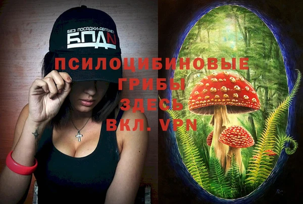 винт Алексеевка