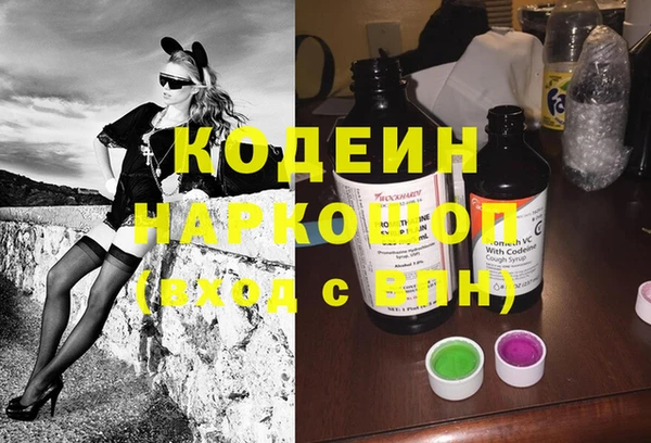 индика Алексин
