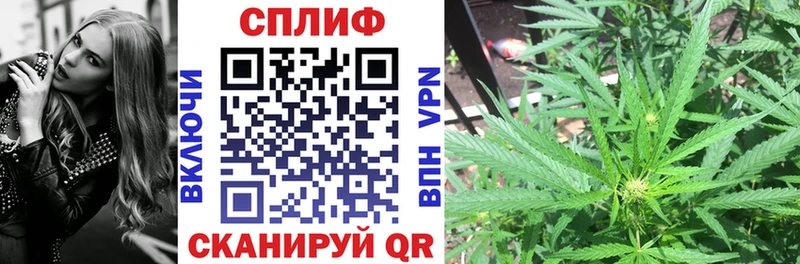 shop официальный сайт  Кириши  Бошки Шишки MAZAR 
